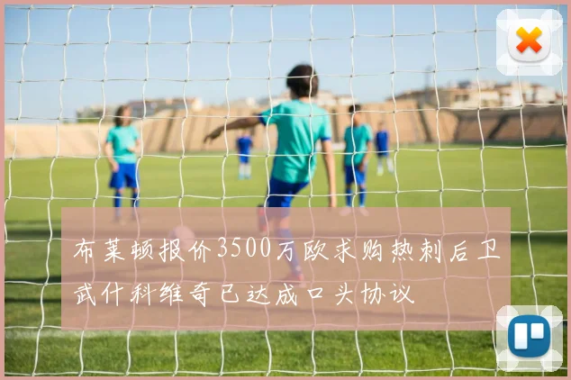 布莱顿报价3500万欧求购热刺后卫武什科维奇已达成口头协议