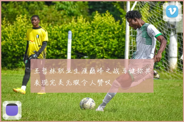 王哲林职业生涯巅峰之战马健称其表现完美无瑕令人赞叹